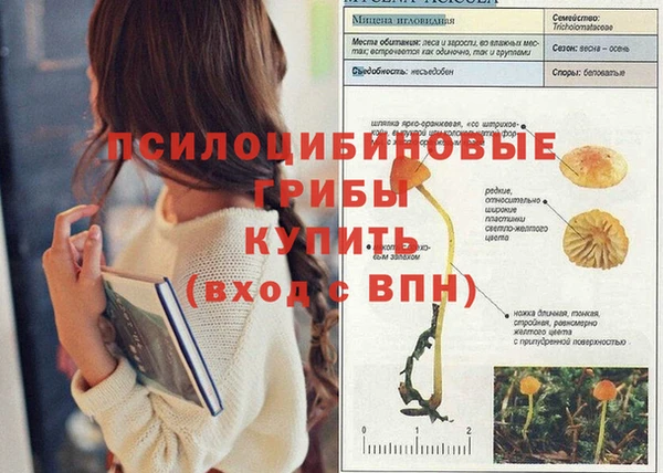 ALPHA-PVP Зеленокумск
