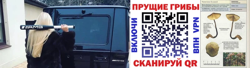 Псилоцибиновые грибы мухоморы  закладка  KRAKEN как зайти  Ачинск 